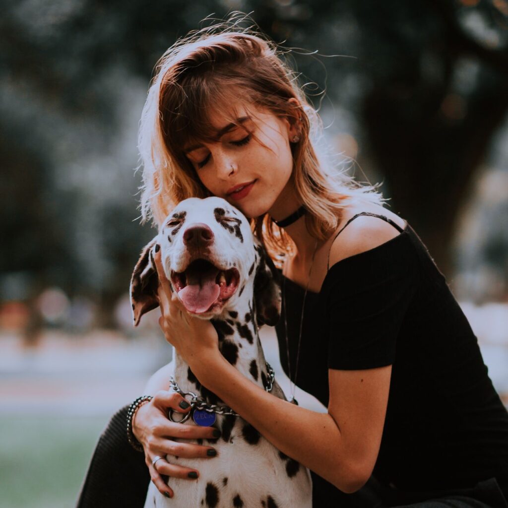 Comparativa de seguros para mascotas: coberturas básicas vs. premium 1 pexels photo 13869571 2